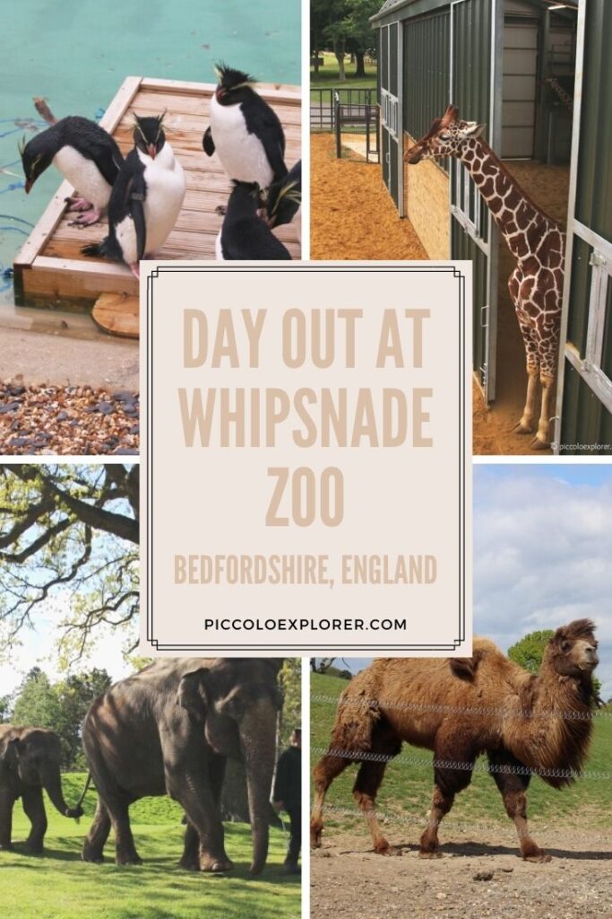 ZSL Whipsnade Zoo Days Out