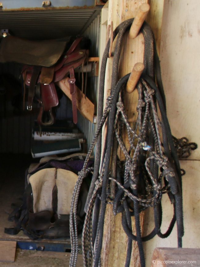 Turtle Bay Resort Oahu Stables