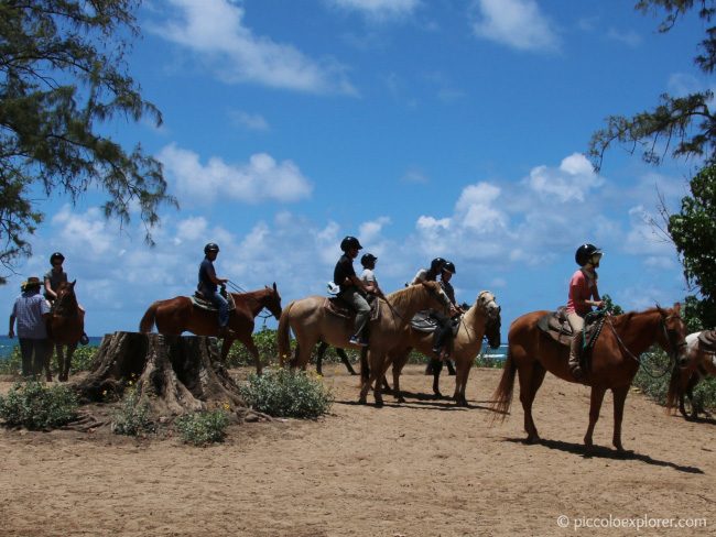 Turtle Bay Resort Horseback Riding Oahu