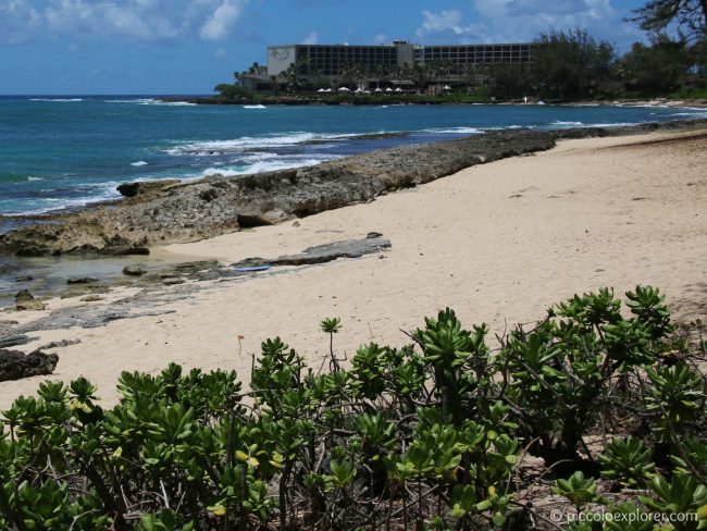 Turtle Bay Resort North Shore Oahu