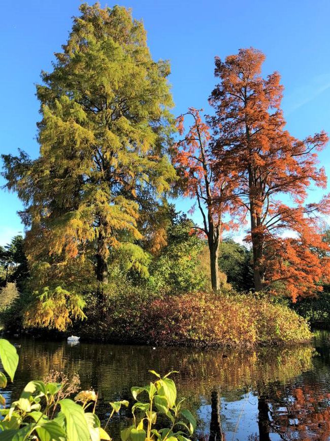 Kew Gardens London Autumn