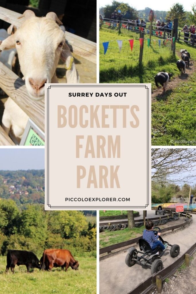 Bocketts Farm Park Surrey