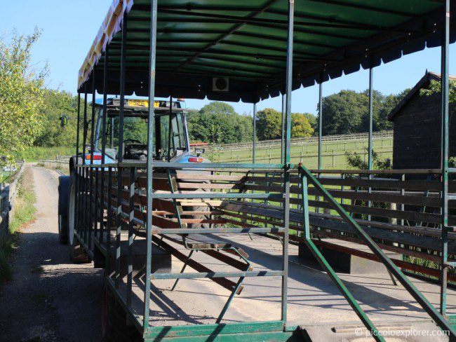 Tractor ride at Bockett Farm Park Surrey