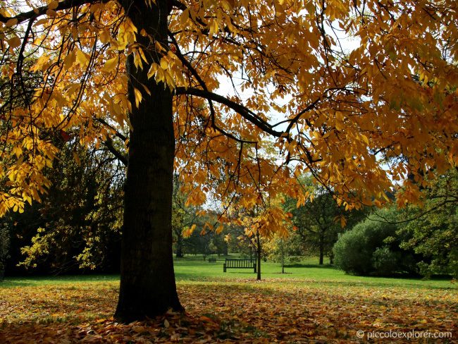 Autumn Walk at Kew Gardens