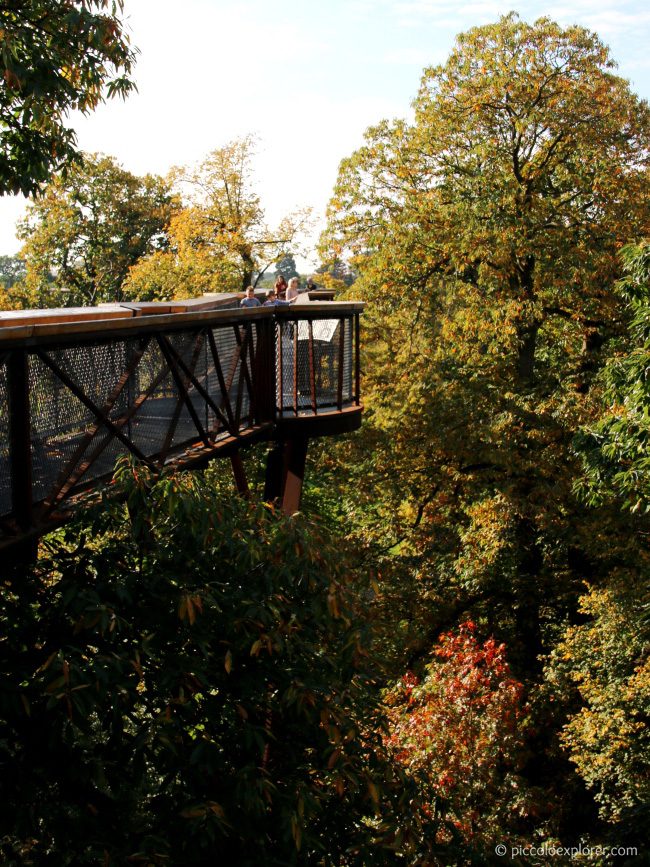 Treetop Walkway at Kew Gardens