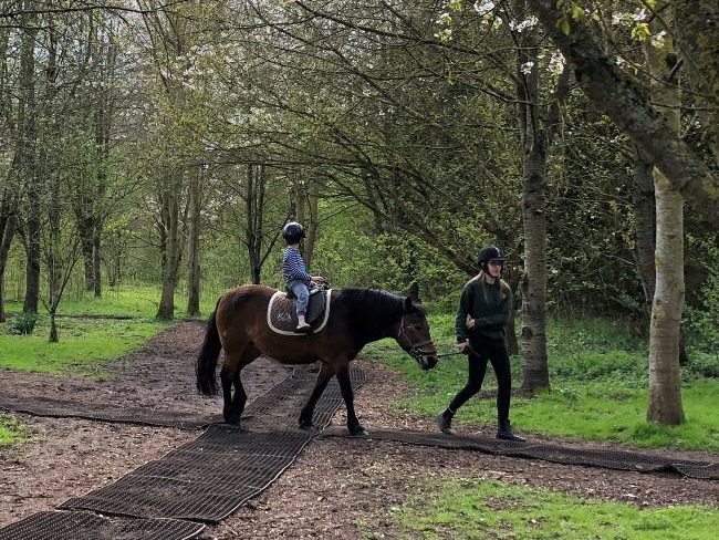 Pony Rides Bocketts Farm park