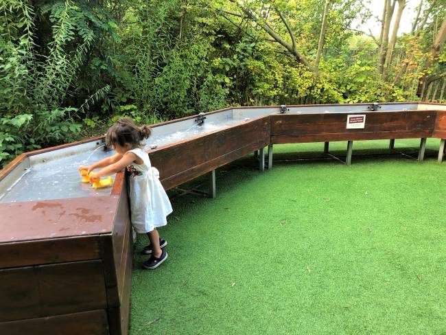 Water table London Wetland Centre