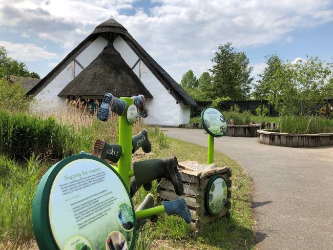 Pond Dipping London Wetland Centre