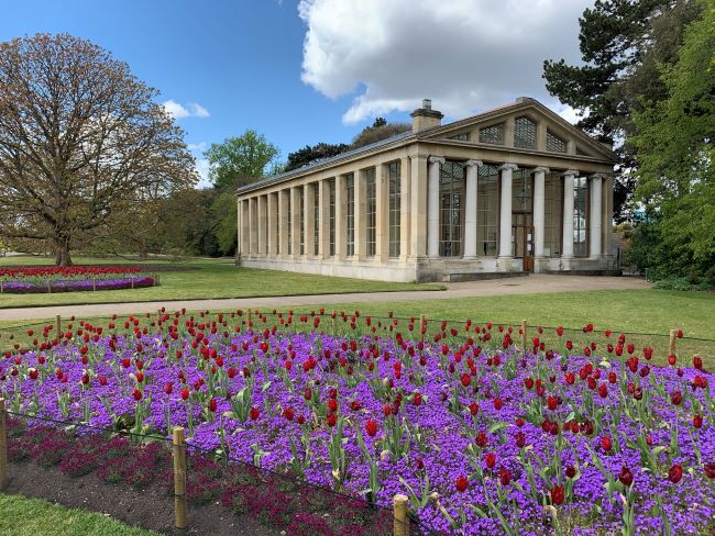 Spring Tulips Kew Gardens London