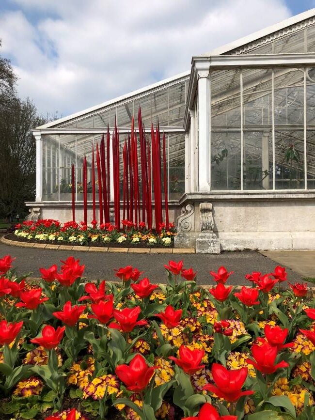 Spring in Kew Gardens Tulips