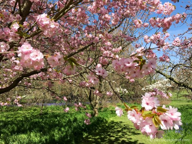Spring at Kew Gardens