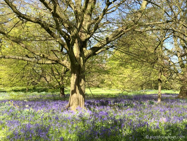 Spring at Kew Gardens London