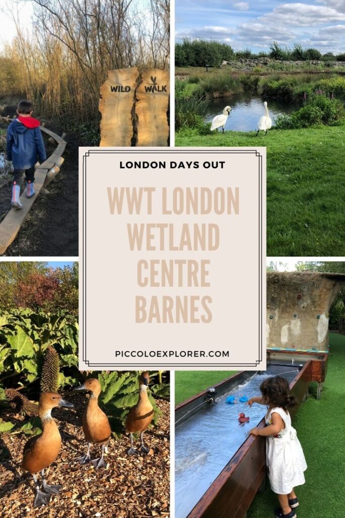 London Wetland Centre Barnes
