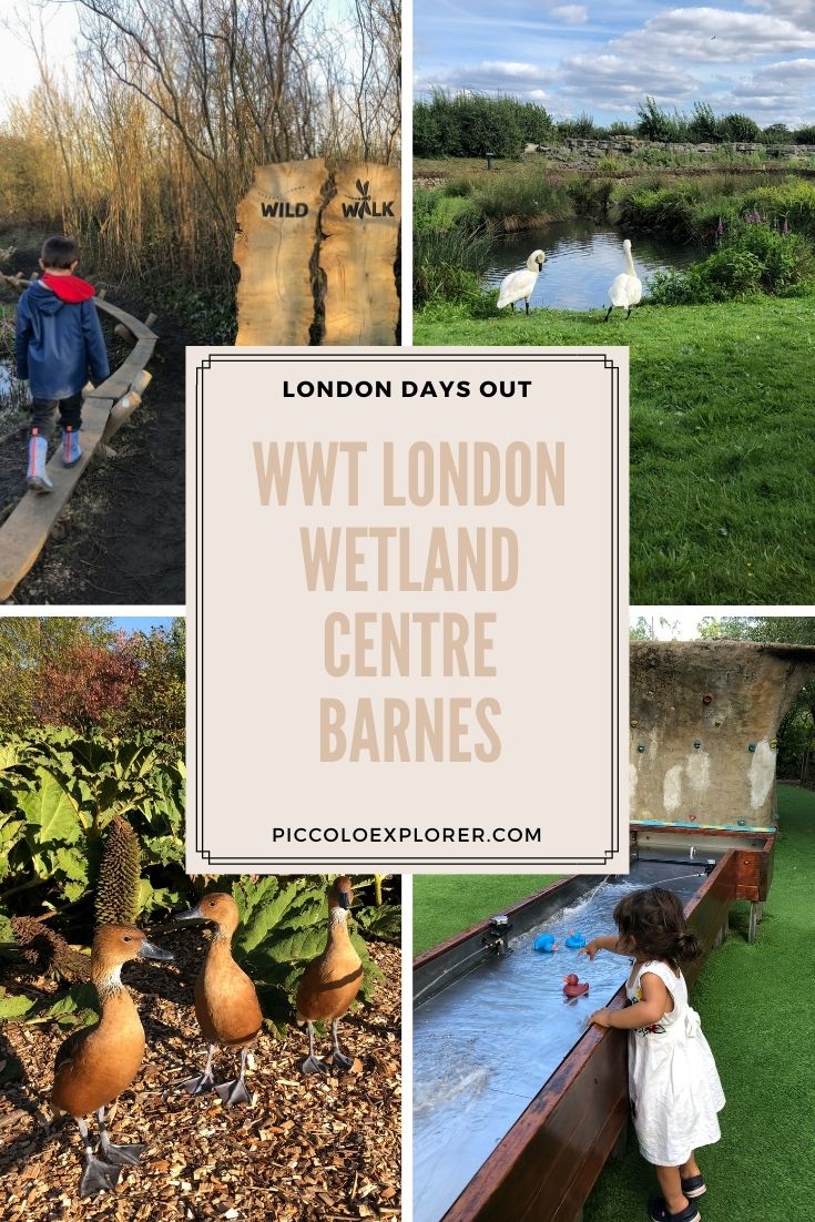 Visiting The WWT London Wetland Centre Barnes With Kids