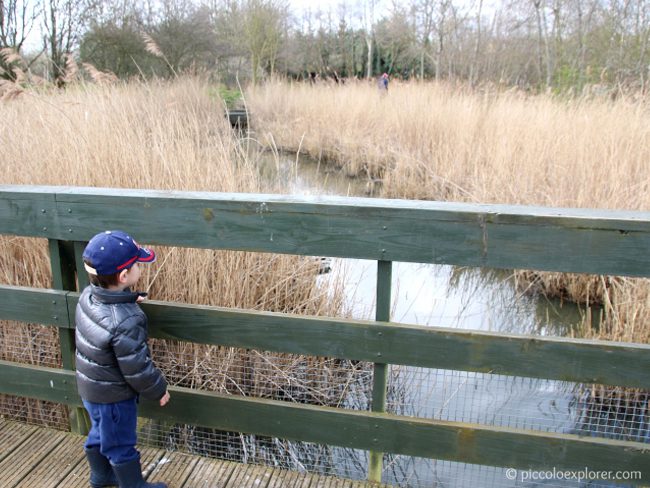 WWT London Wetland Centre Barnes