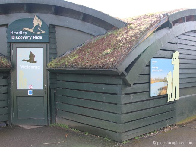 WWT London Wetland Centre Barnes