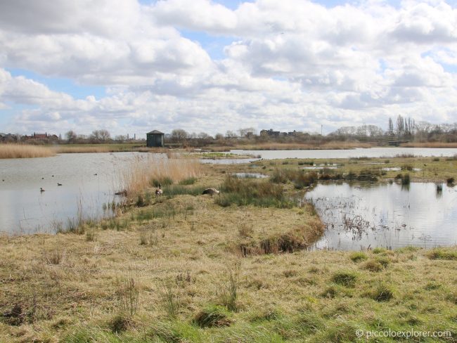 WWT London Wetland Centre Barnes