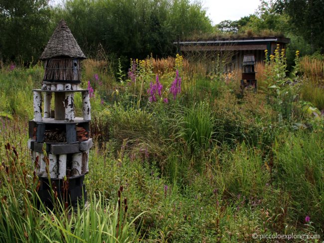 WWT London Wetland Centre Barnes