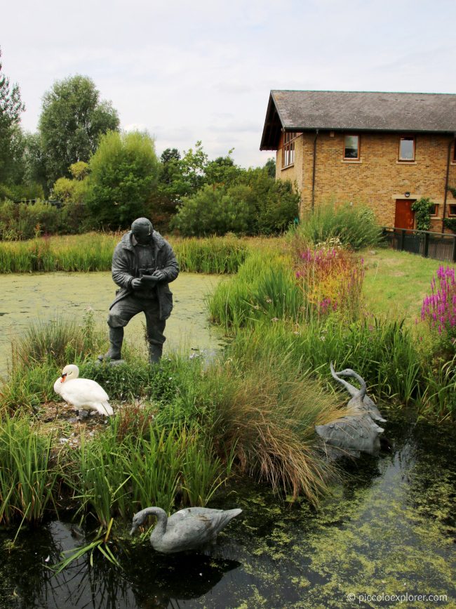 WWT London Wetland Centre Barnes