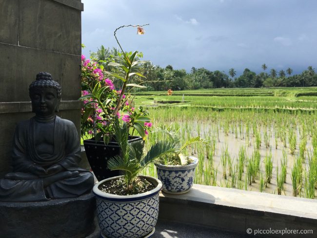 Rice Paddies by LUXE Villas Ubud, Bali