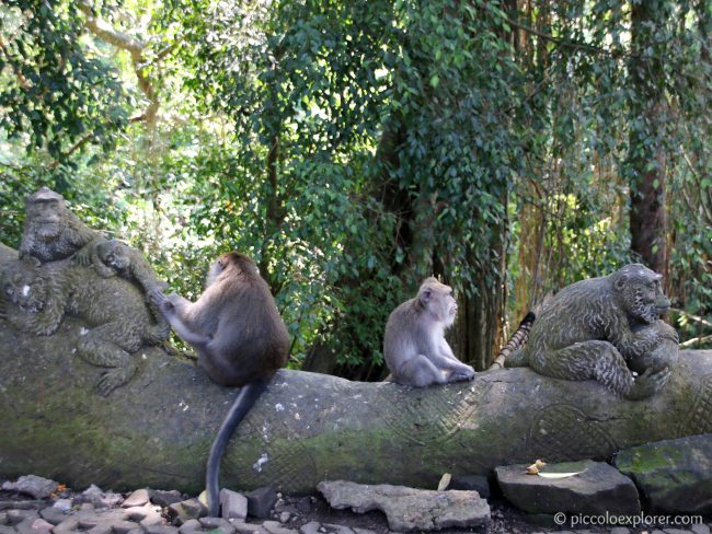 The Sacred Monkey Forest in Ubud