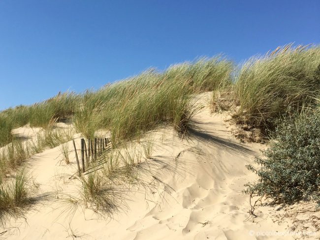 Camber Sands East Sussex