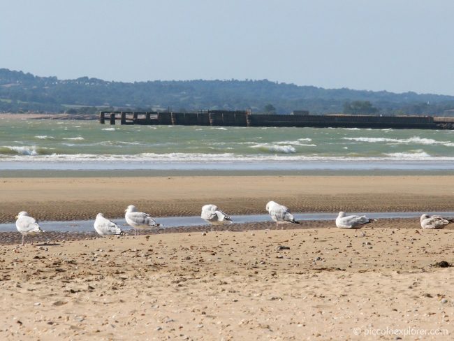 Camber Sands Beach