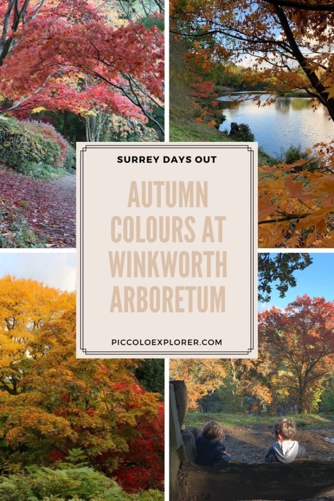 Autumn Colours Winkworth Arboretum Surrey