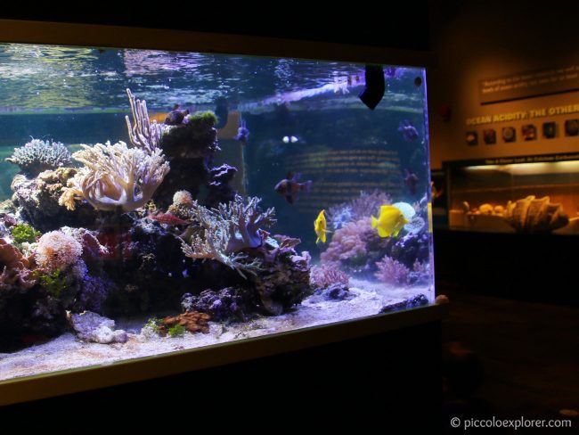 Birch Aquarium at Scripps, La Jolla San Diego CA