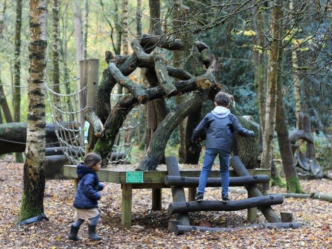 Play area for toddlers at Winkworth Arboretum