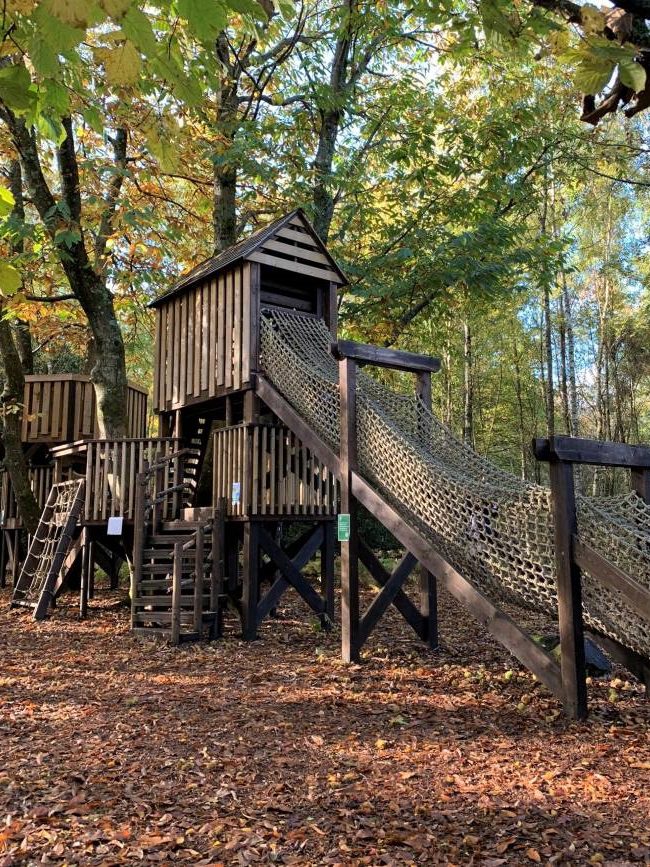 Natural play ground Winkworth Arboretum