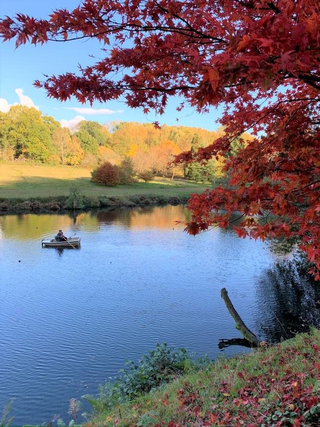 Autumn colour in Surrey