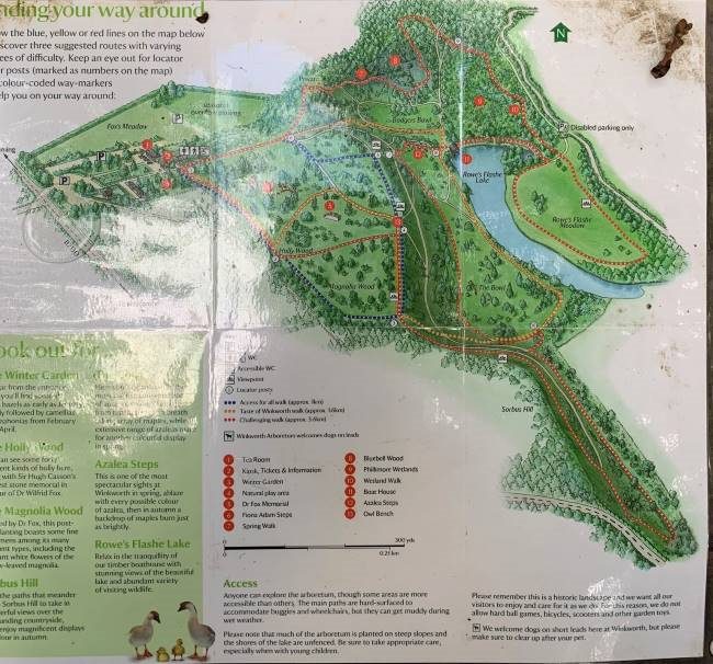 Map of Winkworth Arboretum Surrey