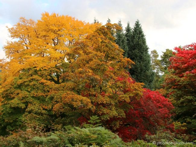 Best Autumn Walks Surrey
