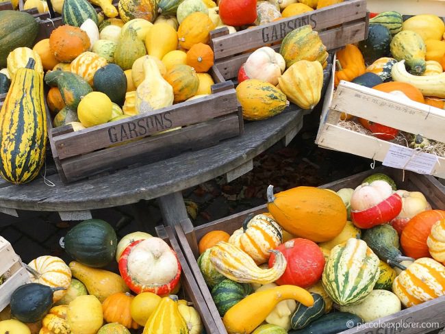 Gourds Garsons Farm Surrey