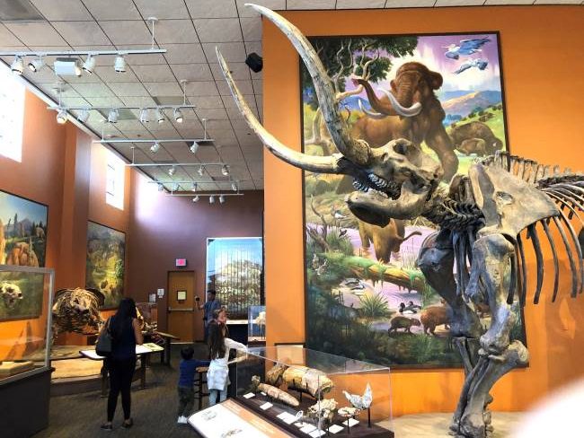 Things to do San Diego with Kids Natural History Museum
