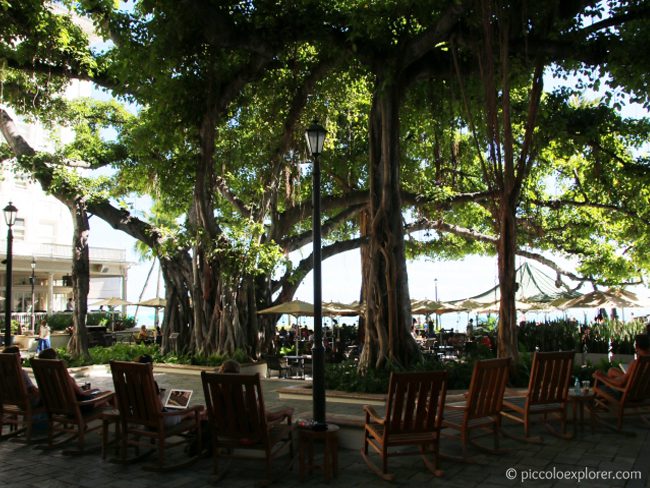 Banyan Courtyard, Moana Surfrider