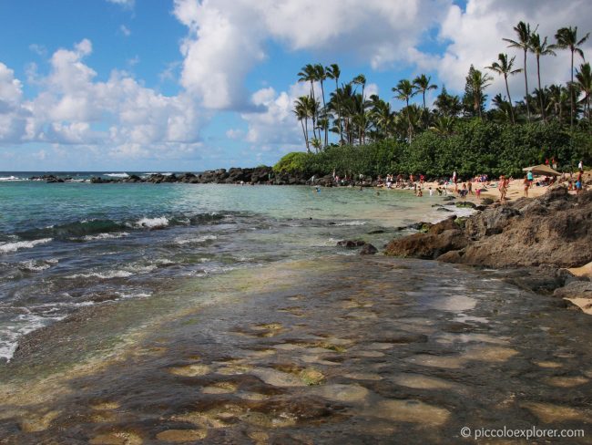 Laniakea Beach, North Shore Oahu