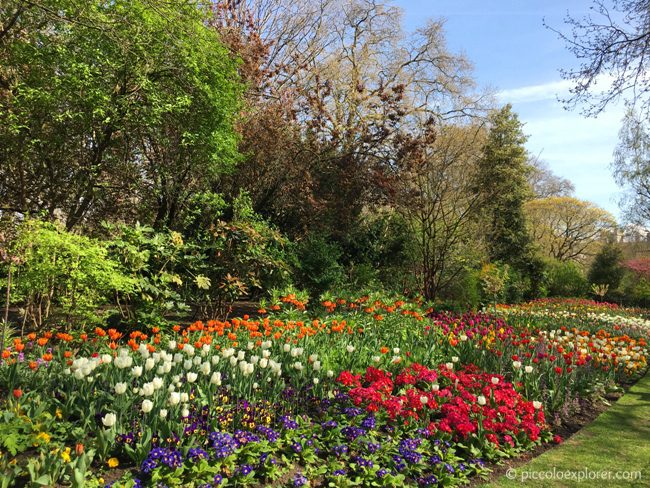 St James's Park, London in Spring 