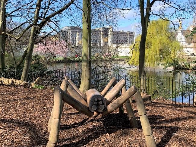 Things to do in St James's Park London with Kids