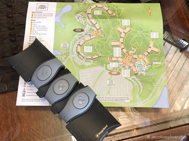 Disney Magic Bands