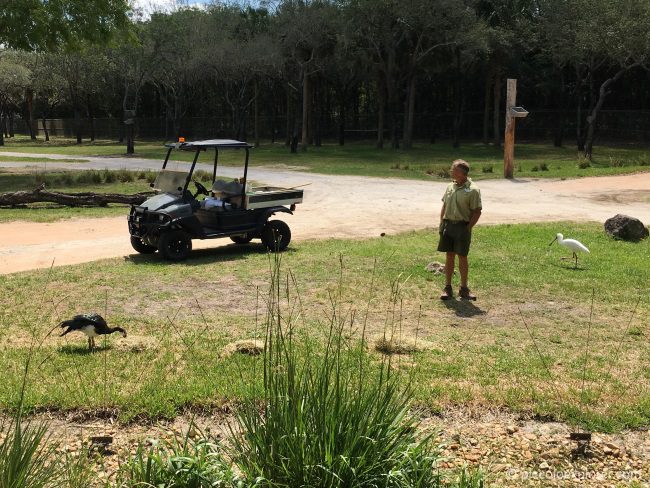 Animal Enrichment Activity, Animal Kingdom Lodge, Orlando