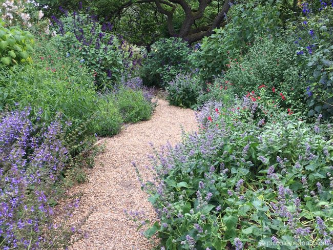 Chelsea Physic Garden, London