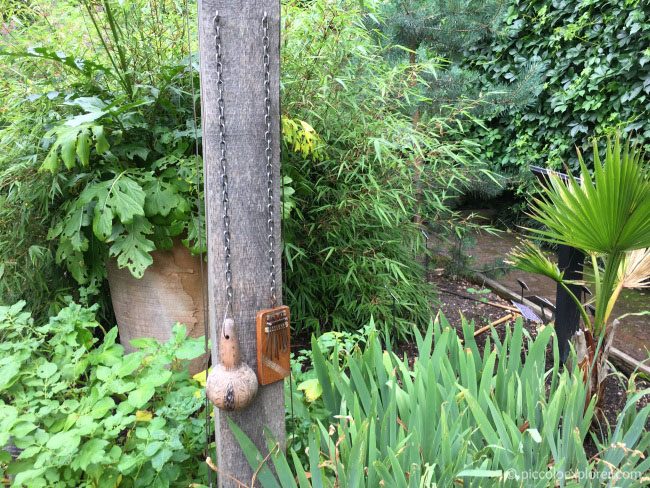 Chelsea Physic Garden, London