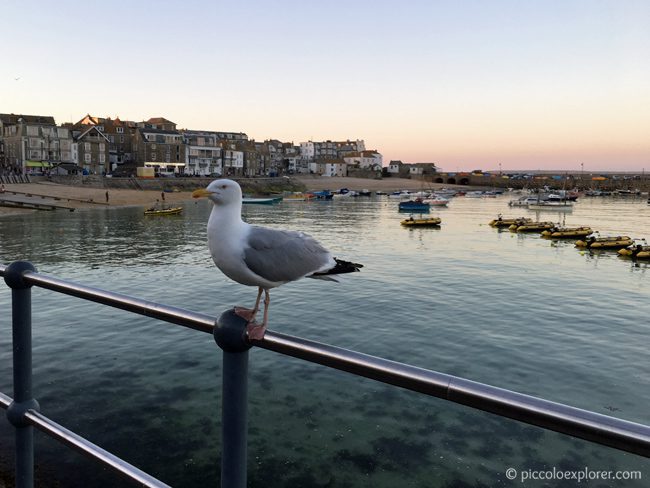 View of St Ives Harbour, St Ives, Cornwall