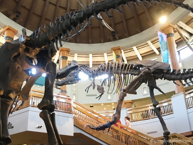 Dinosaur Discovery Center, Jurassic Park, Universal's Islands of Adventure, Orlando, FL