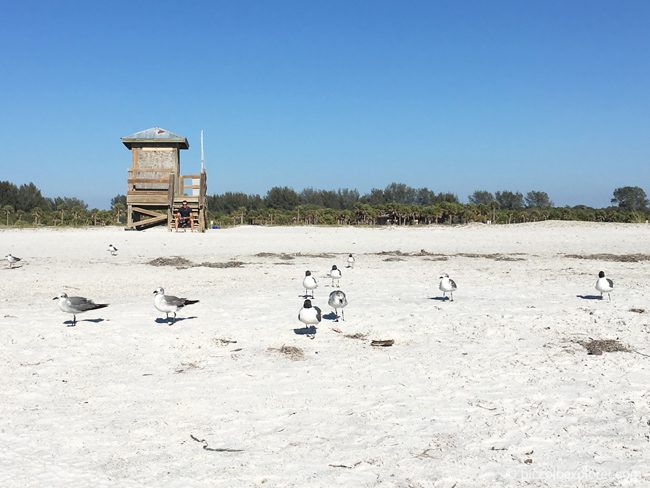 Sand Key Park, Clearwater, Florida