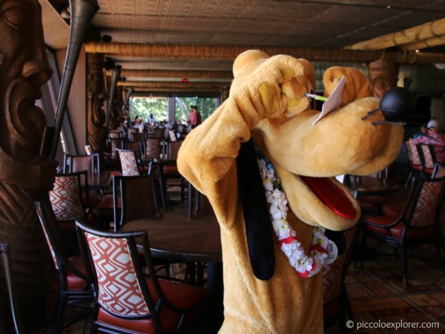 Pluto at 'Ohana Character Breakfast, Polynesian Village Resort, Walt Disney World