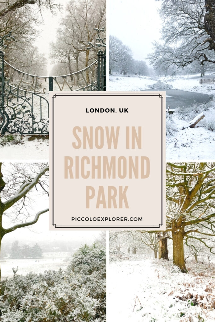 Pin for Later - Snow in Richmond Park