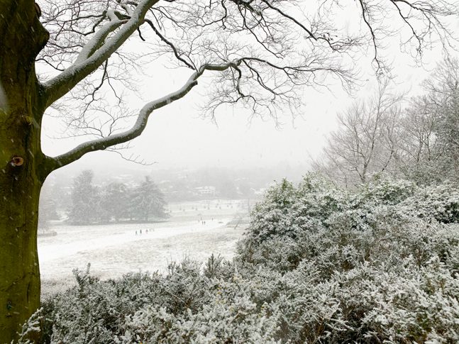 Snow Richmond Park